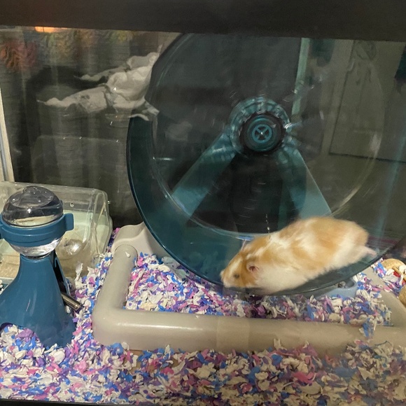 hamster stuff - Picture 5 of 5